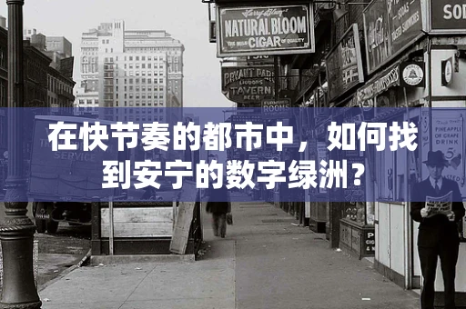 在快节奏的都市中，如何找到安宁的数字绿洲？