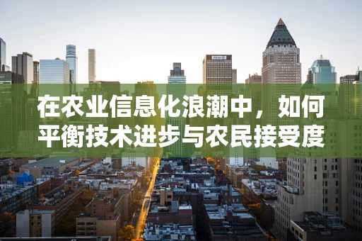 在农业信息化浪潮中，如何平衡技术进步与农民接受度？