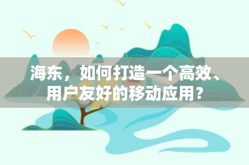 海东，如何打造一个高效、用户友好的移动应用？