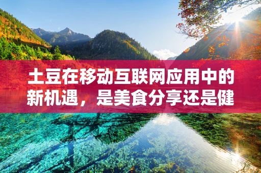 土豆在移动互联网应用中的新机遇，是美食分享还是健康管理的创新平台？