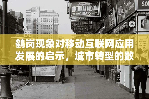 鹤岗现象对移动互联网应用发展的启示，城市转型的数字机遇何在？