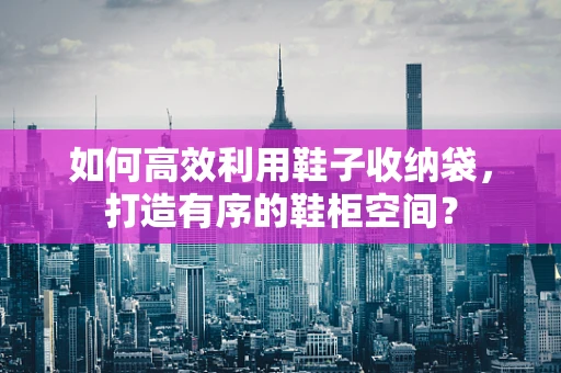 如何高效利用鞋子收纳袋，打造有序的鞋柜空间？