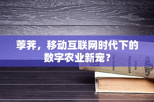 荸荠，移动互联网时代下的数字农业新宠？