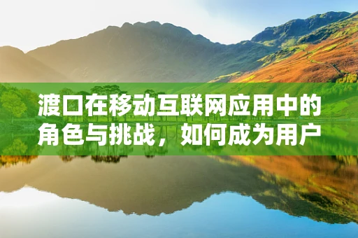 渡口在移动互联网应用中的角色与挑战，如何成为用户数字旅程的‘安全港湾’？