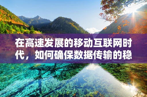 在高速发展的移动互联网时代，如何确保数据传输的稳定性和安全性？