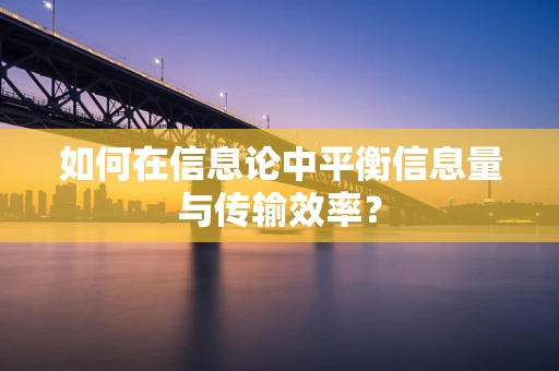 如何在信息论中平衡信息量与传输效率？