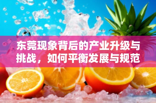 东莞现象背后的产业升级与挑战，如何平衡发展与规范？