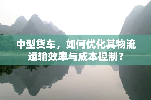 中型货车，如何优化其物流运输效率与成本控制？