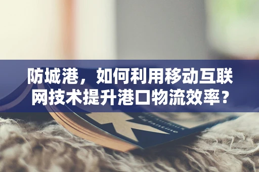 防城港，如何利用移动互联网技术提升港口物流效率？