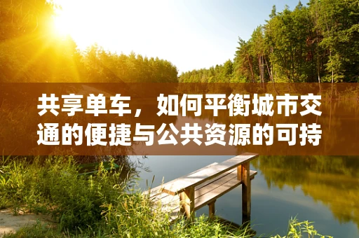 共享单车，如何平衡城市交通的便捷与公共资源的可持续利用？