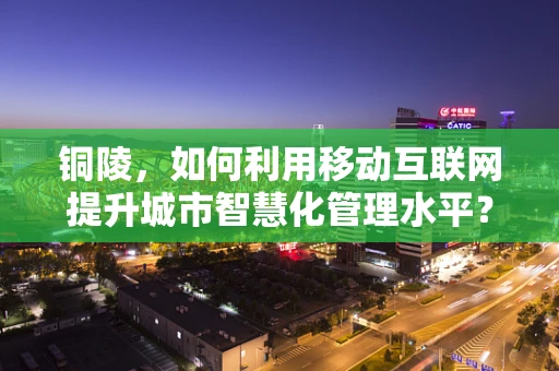 铜陵，如何利用移动互联网提升城市智慧化管理水平？