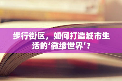 步行街区，如何打造城市生活的‘微缩世界’？