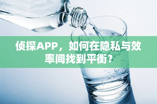 侦探APP，如何在隐私与效率间找到平衡？