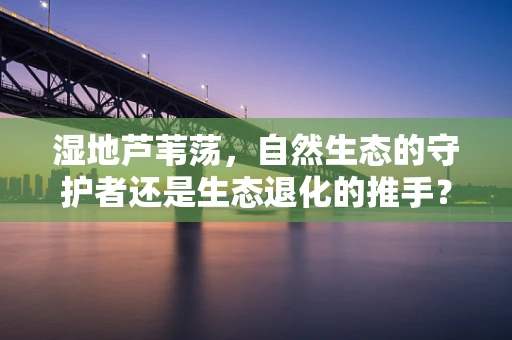 湿地芦苇荡，自然生态的守护者还是生态退化的推手？