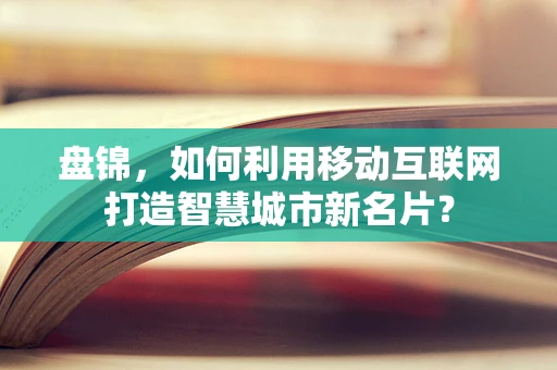 盘锦，如何利用移动互联网打造智慧城市新名片？