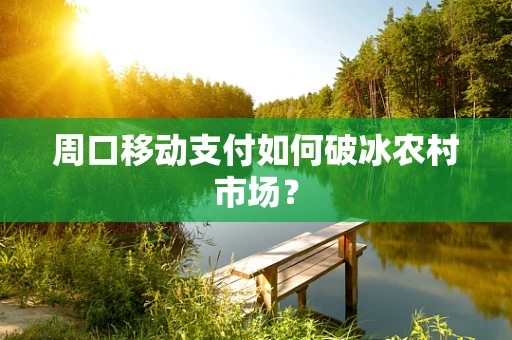 周口移动支付如何破冰农村市场？