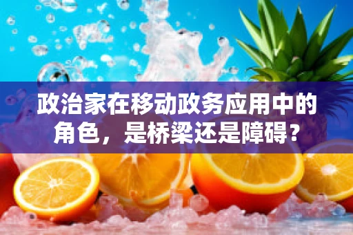 政治家在移动政务应用中的角色，是桥梁还是障碍？