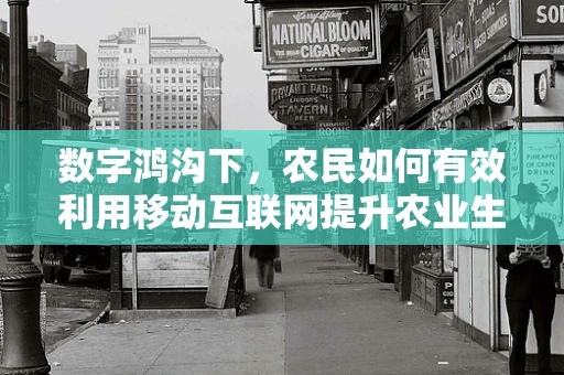 数字鸿沟下，农民如何有效利用移动互联网提升农业生产效率？