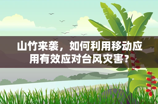 山竹来袭，如何利用移动应用有效应对台风灾害？