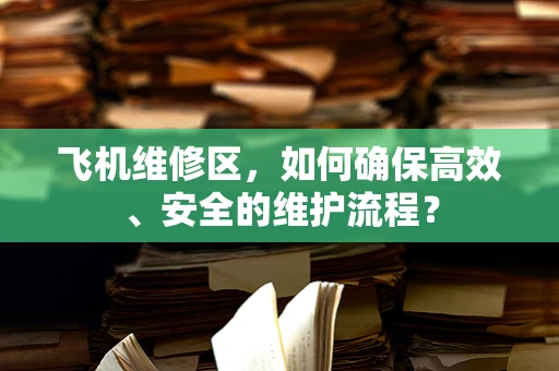 飞机维修区，如何确保高效、安全的维护流程？