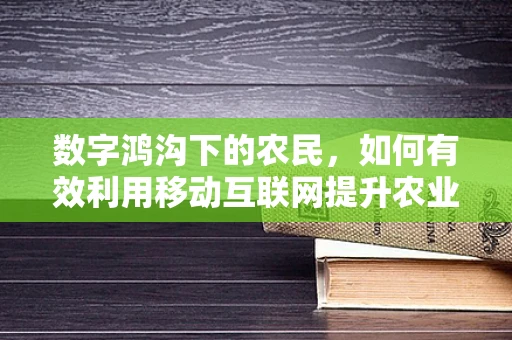 数字鸿沟下的农民，如何有效利用移动互联网提升农业生产效率？