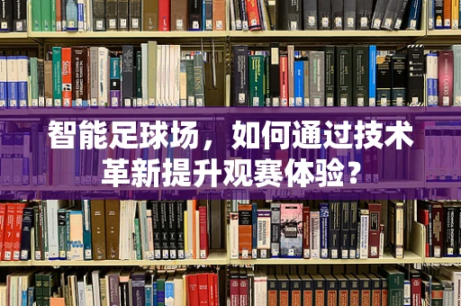 智能足球场，如何通过技术革新提升观赛体验？