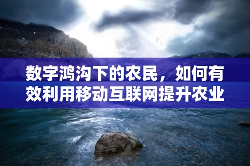 数字鸿沟下的农民，如何有效利用移动互联网提升农业生产效率？