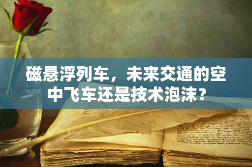 磁悬浮列车，未来交通的空中飞车还是技术泡沫？