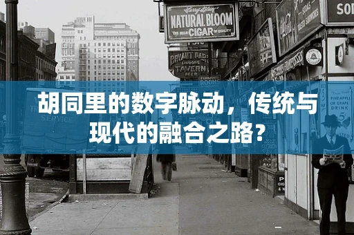 胡同里的数字脉动，传统与现代的融合之路？