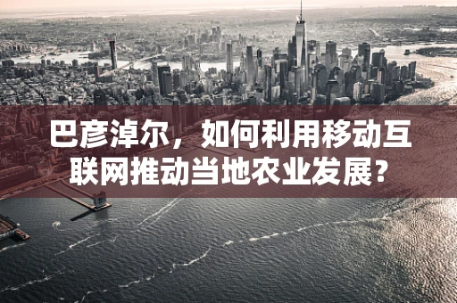 巴彦淖尔，如何利用移动互联网推动当地农业发展？