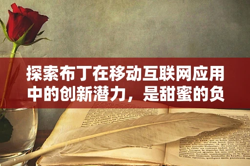 探索布丁在移动互联网应用中的创新潜力，是甜蜜的负担，还是新时代的宠儿？