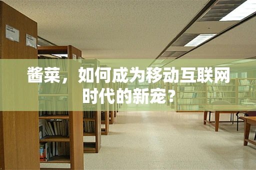 酱菜，如何成为移动互联网时代的新宠？