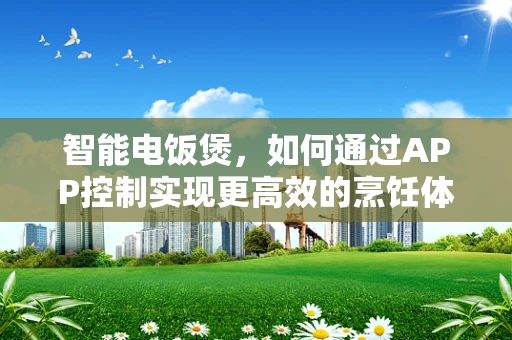 智能电饭煲，如何通过APP控制实现更高效的烹饪体验？