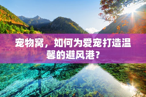 宠物窝，如何为爱宠打造温馨的避风港？