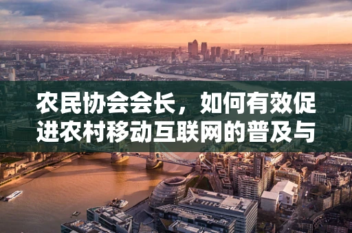 农民协会会长，如何有效促进农村移动互联网的普及与利用？