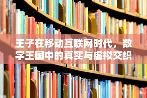 王子在移动互联网时代，数字王国中的真实与虚拟交织