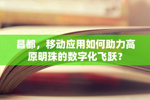 昌都，移动应用如何助力高原明珠的数字化飞跃？