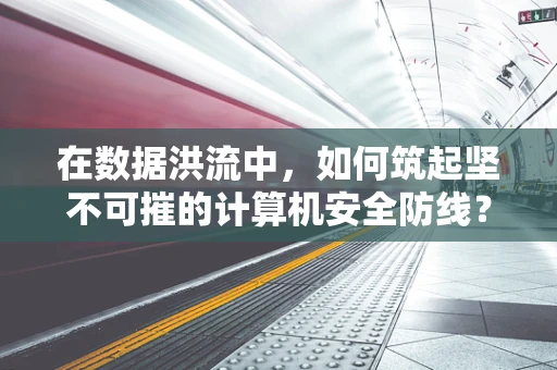 在数据洪流中，如何筑起坚不可摧的计算机安全防线？