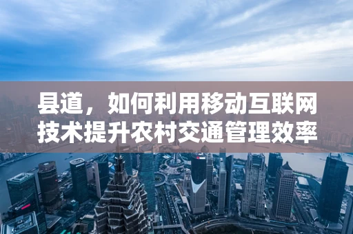 县道，如何利用移动互联网技术提升农村交通管理效率？