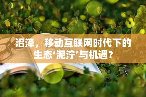 沼泽，移动互联网时代下的生态‘泥泞’与机遇？