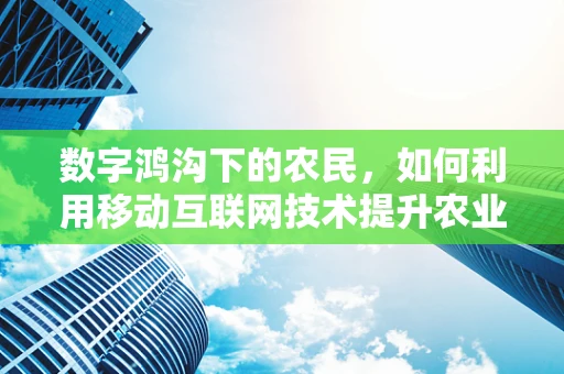 数字鸿沟下的农民，如何利用移动互联网技术提升农业生产效率？