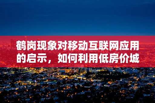 鹤岗现象对移动互联网应用的启示，如何利用低房价城市吸引年轻人才？